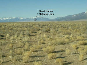 Park.JPG