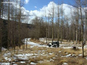 SDCR.G3.jpg