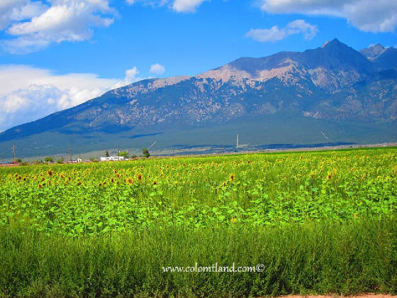 Colorado Mountain Property Owner Finance Trade Colorado Mountain Property Owner Finance Trade