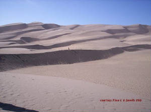 dunes.jpg