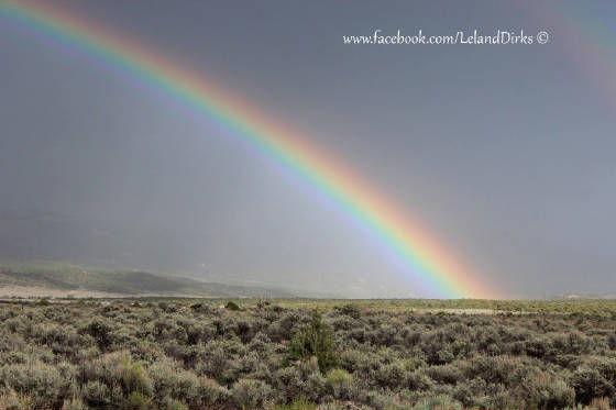 rainbow.Leland.jpg