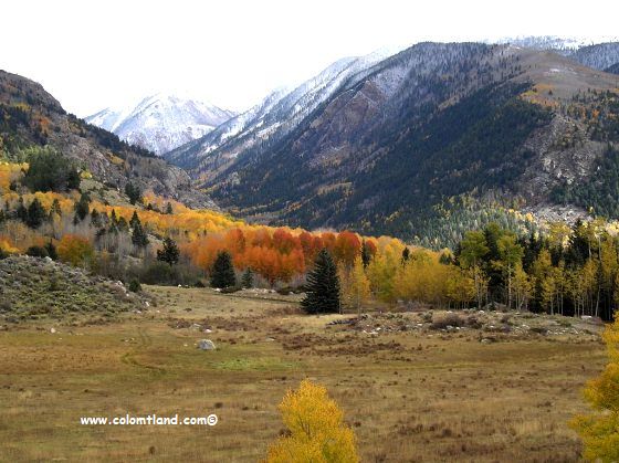 Top Colorado Land for Sale • Mirr Ranch Group